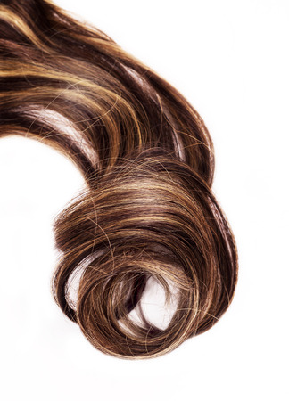 piece of brown hair on white isolated backgroundの写真素材