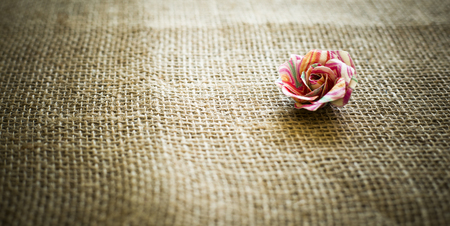 arrangement of colorful flower laid on sack textureの写真素材