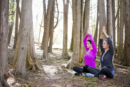young fit caucasian women exercising outdoors doing yoga. Natural settings in the woods.の写真素材