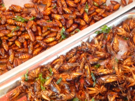 fried cockroaches and wormsの写真素材