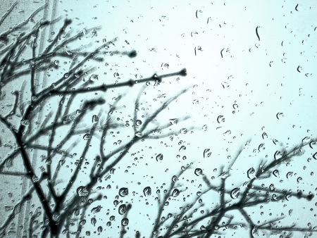 rainの写真素材