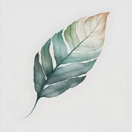 Watercolor monstera leaf isolated on white background. Hand painted illustration.の写真素材
