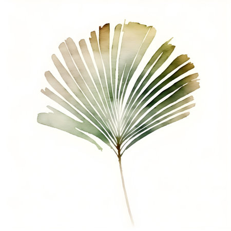 Watercolor illustration of a palm leaf isolated on a white background.の写真素材