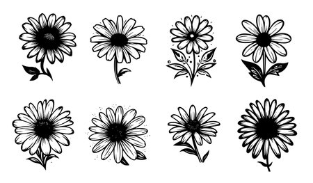Chamomile flowers set. Black and white vector illustration.のイラスト素材