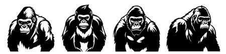 Gorilla set in black and white colors. Vector illustration.のイラスト素材