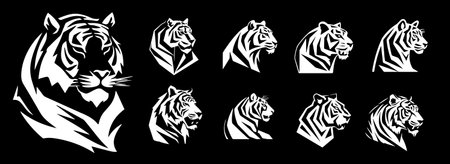 Tiger head icon set in black and white. Vector illustration.のイラスト素材