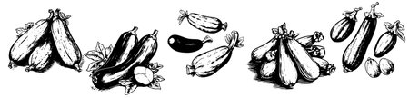 Illustration of a group of vegetables, vintage line drawing or engraving illustration.のイラスト素材