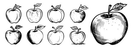 Apples set. Hand drawn vector illustration. Engraved styles.のイラスト素材