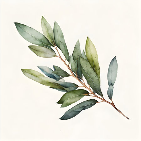 Eucalyptus branch with leaves. Watercolor illustration.の素材