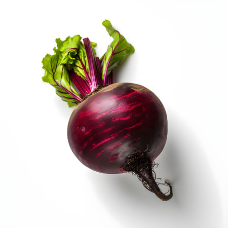 Beetroot isolated on white background. Top view. Flat lay.の素材