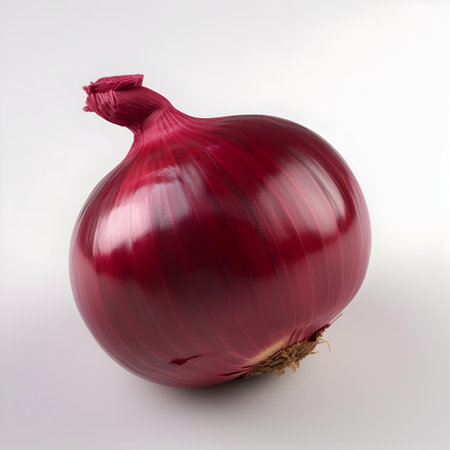 Red onion isolated on white background. 3d illustration. Studio shot.の素材