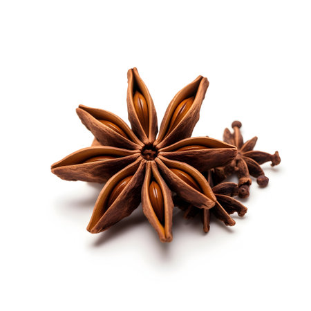 Star anise spice isolated on white background close up. Macro.の素材