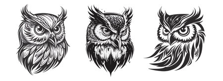 Owl head, black and white vector, silhouette shapes illustrationのイラスト素材