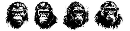 Chimpanzee in black and white. Vector illustration of gorilla.のイラスト素材