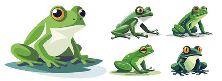 Frogs set. Vector illustration of a cartoon green frog.のイラスト素材