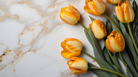 Beautiful tulipsle background, top view. Space for textの素材