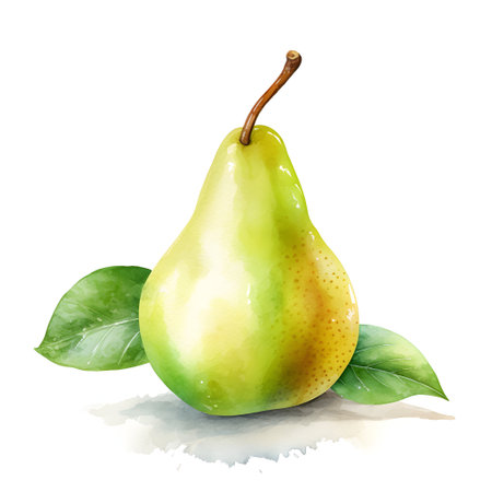 Green pear with leaves on a white background. Watercolor illustration.の素材