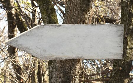 Blank white weathered wooden signpost nailed to a tree in the forest with arrow showing the left direction. Copy space for custom text.の写真素材