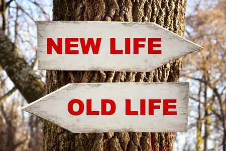 New life and old life messages on the weathered wooden signposts on a tree in the forest with arrows...