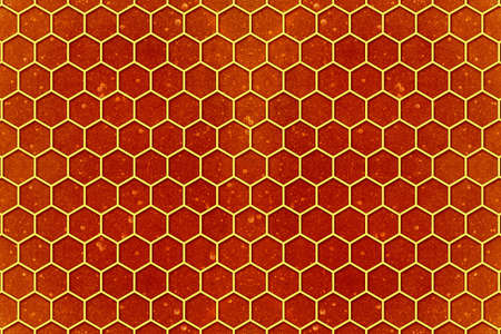 Yellow honeycomb on the sweet golden honey background. Close-up photo. Healthy food concept.の写真素材