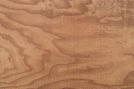 Rustic wooden texture for background or design art work. Natural texture with wooden grain. Top view. Close-up.の写真素材