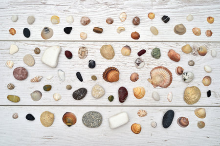 Sea shells, snails and pebbles of different sizes, shapes and colors on the vintage white scratched wooden texture. Top view. Close-up.の写真素材