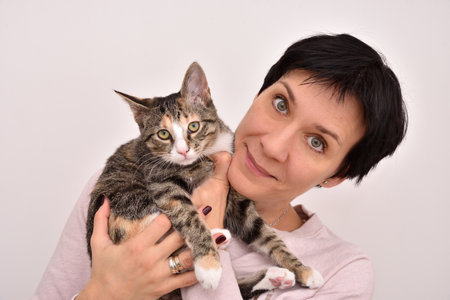A gentle moment captured with a kitten being held against a soft light pink background. The tabby cat appears content and relaxed. Isolated on a soft light pink background.の写真素材
