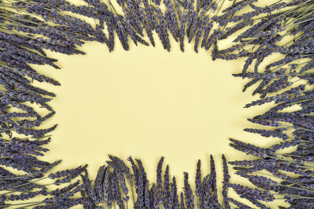 Lavender flowers border frame on the yellow background. Top view. Copy space.の写真素材