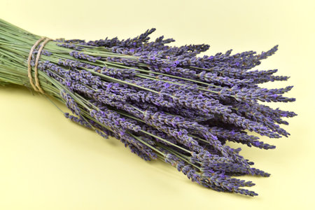 Bouquet of lavender flowers on the yellow background. Close-up. Copy space.の写真素材