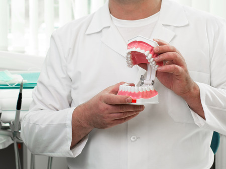 Man's hands are holding a model of human jaw opened, dentist cabinet