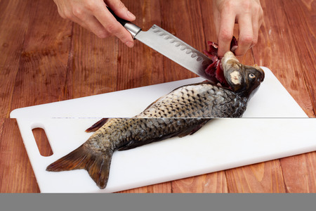 Food. Preraring fish. Woman's hands carving a fish with a knife on a white boardの写真素材