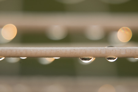 Raindrops on the washing line