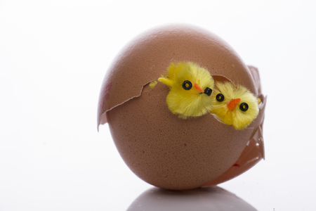 Young artificial chicklingsの写真素材