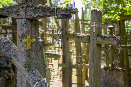 Old crosses on Russian Orthodox siteの写真素材