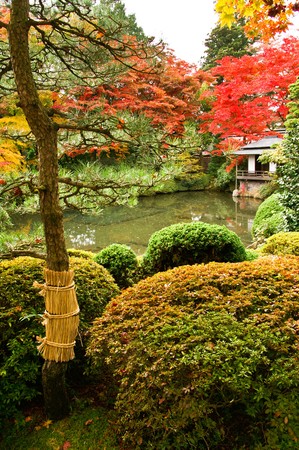 japan gardenの写真素材