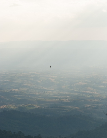 Plain Landscapeの写真素材