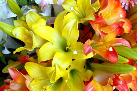 Details of selection of cut flowersの写真素材