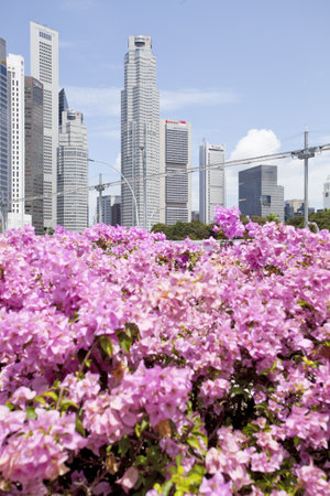SINGAPORE - JULY 24  View of skyscrapers in Marina Bay on July 24, 2014 in Singapore  のeditorial素材
