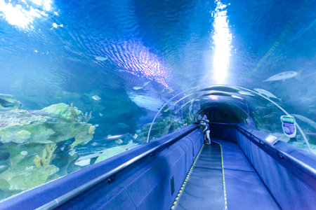A group of tourists visiting the aquarium in Kuala Lumpur, Malaysiaのeditorial素材