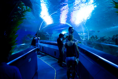 KUALA LUMPUR, JULY 5: A group of tourists visiting the aquarium in Kuala Lumpur, Malaysia on July 5, 2014.のeditorial素材