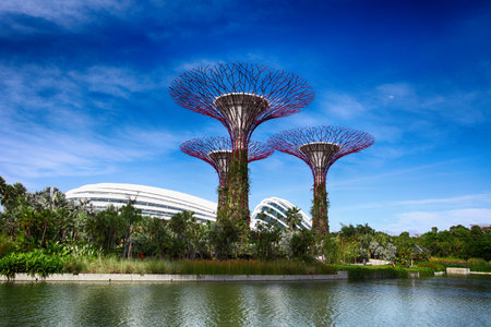 SINGAPORE - JULY 14, 2014: The Supertree Grove at Gardens by the Bay. One of the most popular tourist destinations in Singaporeのeditorial素材