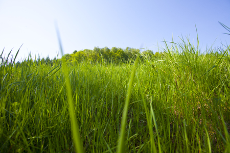 Mountains scenery. Bieszczady National Park, Poland, Europeの写真素材
