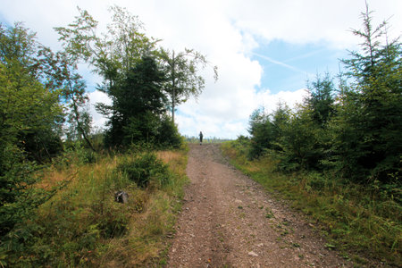 A man walking on a dirt road in the middle of the forestの写真素材