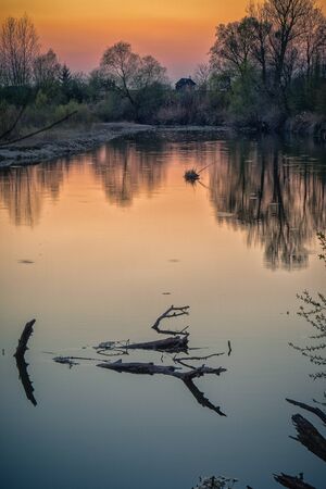 A beautiful shot of a lake shore during golden hour