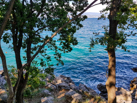 Leaved trees and a blue sea in a background
