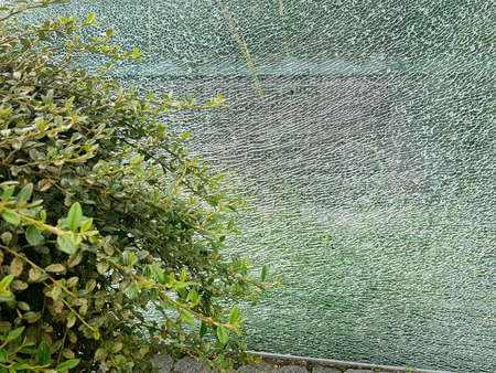 Close up of broken cracked glass. Broken into lots of cracks.