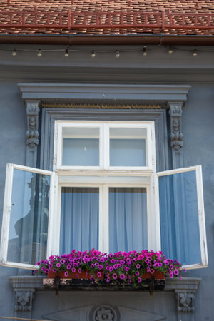 A European-style window with open white shutters, ornate trim, vibrant flowers on it, and a tiled roof.の写真素材