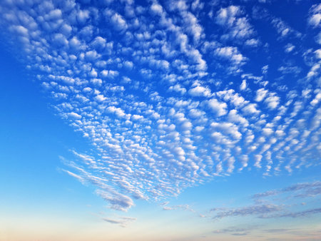 A stunning view of altocumulus clouds scattered across a vibrant blue sky at sunset. The soft, fluffy formations create a mesmerizing cloudscape, adding depth and texture to the evening sky.の写真素材