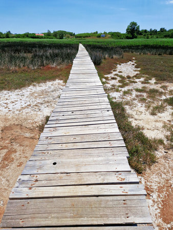 A wooden boardwalk stretches through a marshland surrounded by dry grass and green fields under a clear blue sky. The rustic pathway leads into the distance, capturing a peaceful countryside scene.の写真素材