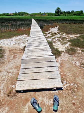 A wooden boardwalk stretches through marshland under a clear blue sky, with a pair of abandoned flip-flops in the foreground. The rustic path leads into the distance, evoking a sense of adventure and solitude.の写真素材